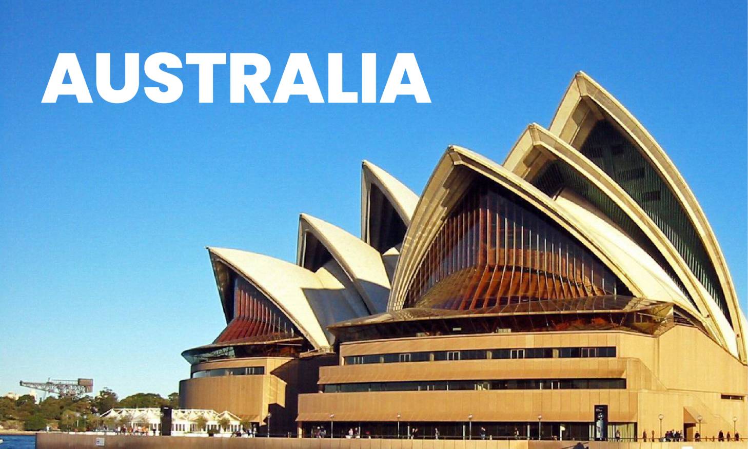 Study in Australia Consultancy