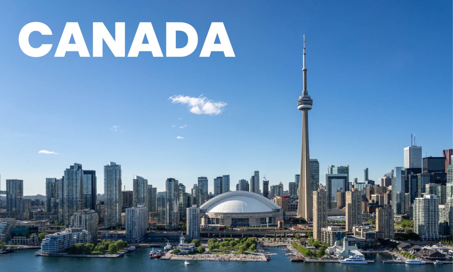 Study in Canada Consultancy