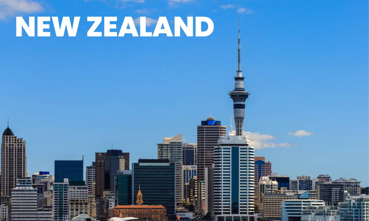 Study in New Zealand Consultancy