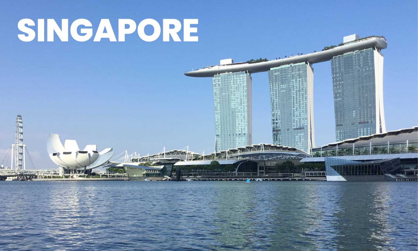 Study in Singapore Consultancy